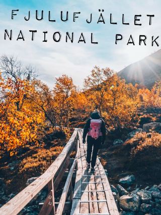Fulufjället National Park: Sweden’s Majestic Wilderness🇸🇪