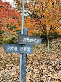 【茨城　花貫渓谷】