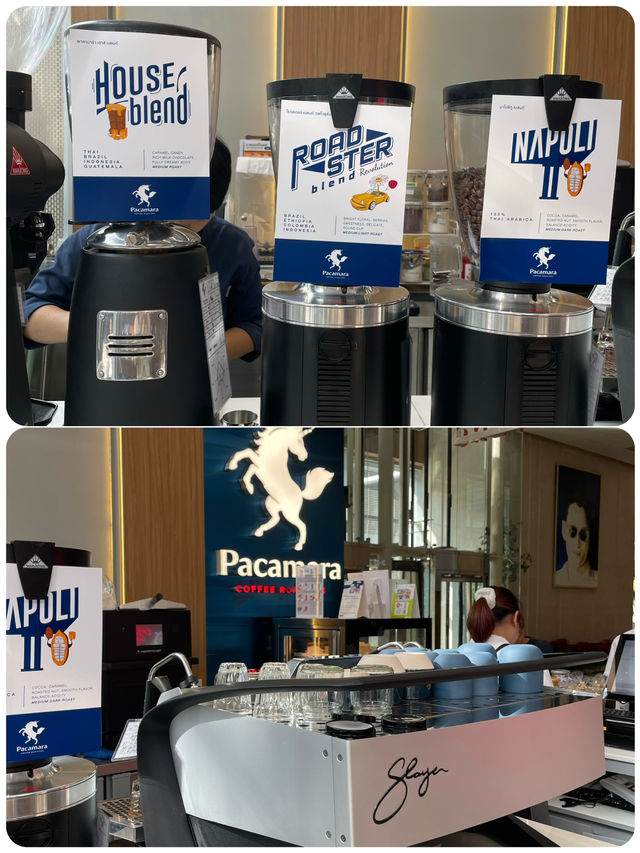 "陽光與咖啡：Pacamara Coffee Roasters在曼谷CentralWorld"