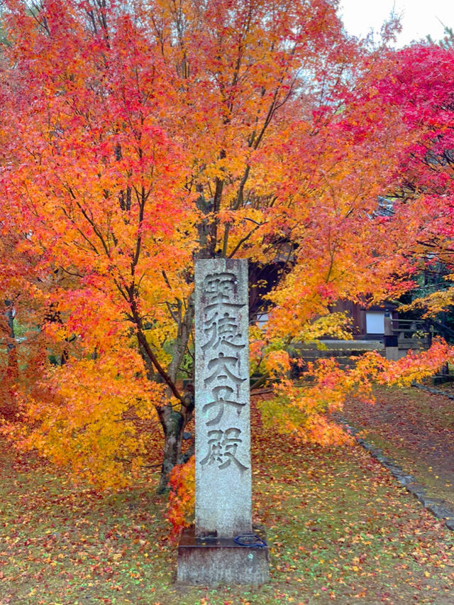 京都嵯峨野の紅葉穴場スポット😊🍁清凉寺🍁