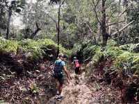 Quick 5km hike / trail run in Jerudong, Brunei !