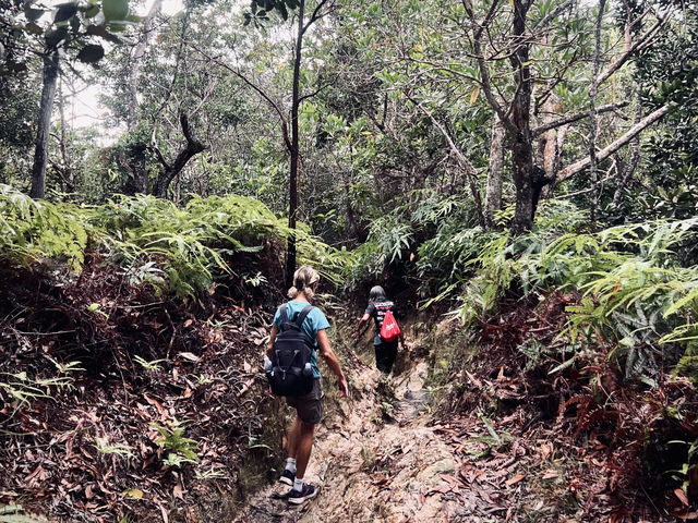 Quick 5km hike / trail run in Jerudong, Brunei !