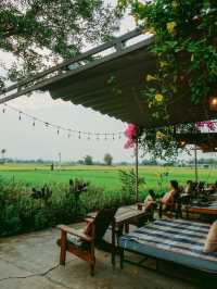 ホイアンに佇む田んぼカフェ🇻🇳 Roving Chillhouse
