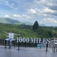ไร่ชา 1000 ไมล์ พัทลุง
