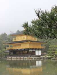 Golden Radiance in the Rain: Kinkaku-ji’s Timeless Beauty