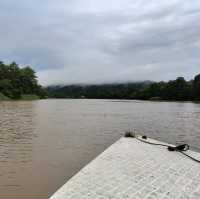 Kinabatangan river cruise is awesome!