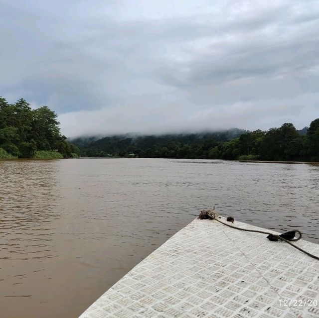 Kinabatangan river cruise is awesome!