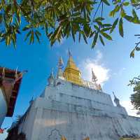 ไหว้พระวัดพระธาตุพูสี