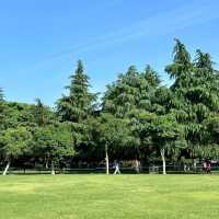 上塔悠公園🛣️城市氧吧🌳🌼