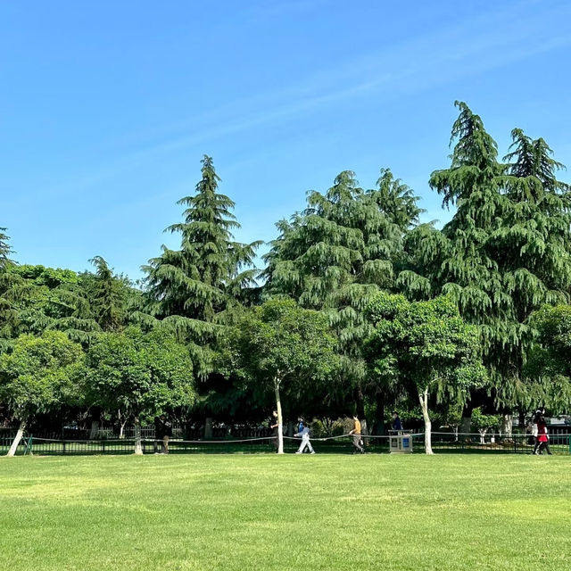 上塔悠公園🛣️城市氧吧🌳🌼