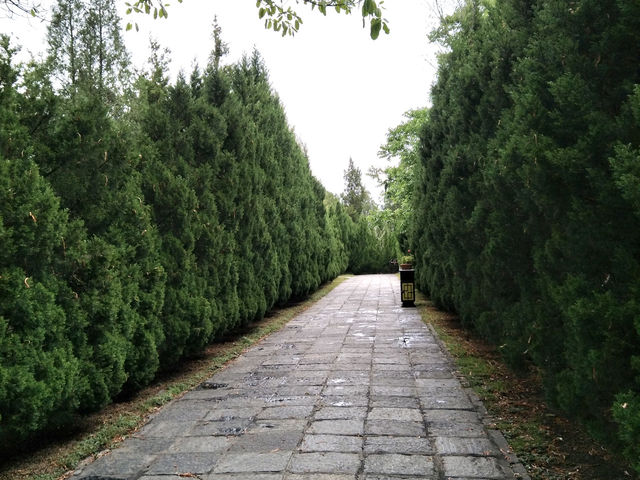 Unveiling the Secrets of Chongsheng Temple: A Walk Through History