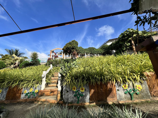 Sirao Garden Cebu - シラオガーデン