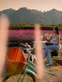 Audrey Hobby Farm - Khaoyai 🌸 เปิดให้เข้าชมแล้วนะ