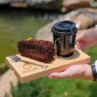 โอลิว่า วิว เดอคาเฟ่