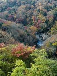 《山中湖》秋から冬の美しい景色に魅せられて