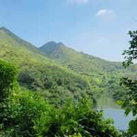 Discovering the Wild Beauty of Wilson Trail Section 9
