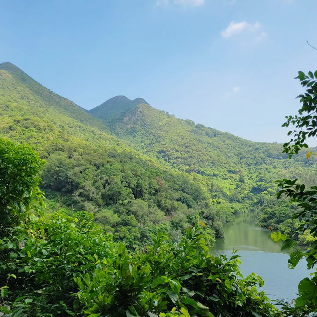 Discovering the Wild Beauty of Wilson Trail Section 9