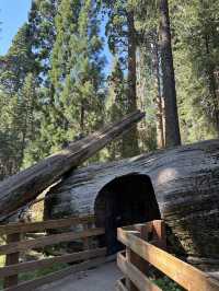 Beautiful national park to hike & relax!
