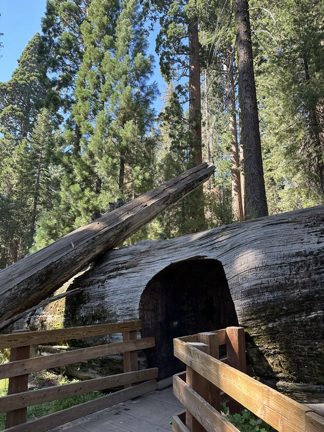 Beautiful national park to hike & relax!