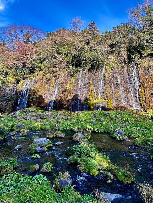 【静岡県】大迫力‼️数百の絹糸のような滝✨