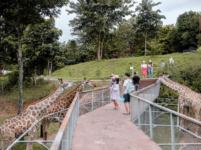 พาเที่ยวสวนผึ้งไฮแลนด์ มินิซูและจุดพักผ่อนสวนผึ้ง