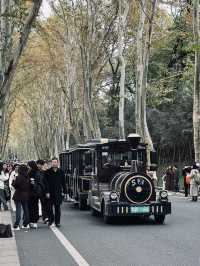 Beautiful Wutong Road in Nanjing