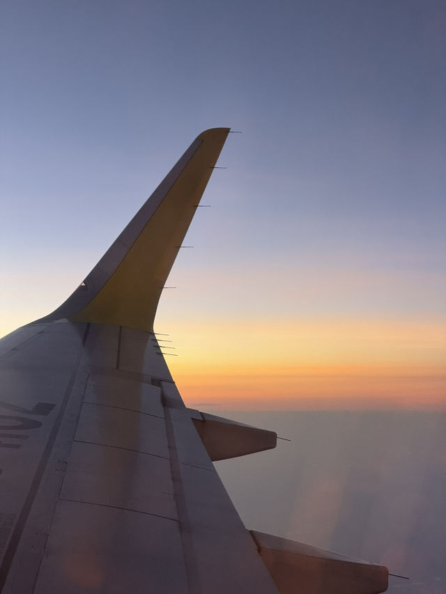 Flying Cebu Pacific Airlines