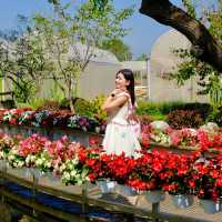 MITRA.KHAOYAI มองมุมไหนก็น่ารัก 