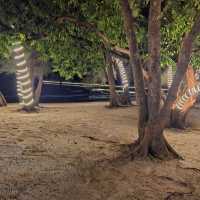Prince Island Hotel is truly a wonderful place to relax and spend quality time with family.