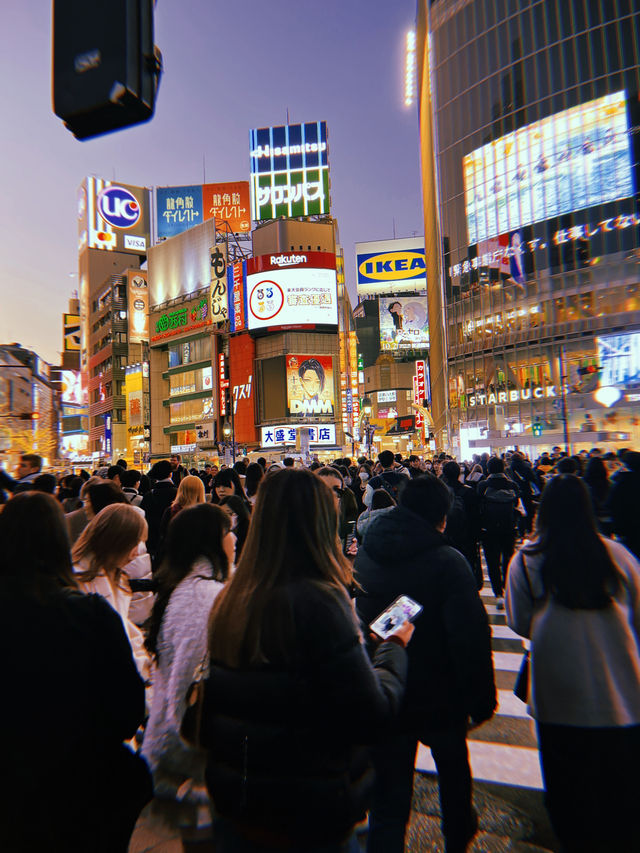 Tokyo 2025 from a season visitor 🗼🇯🇵