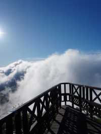 【北海道×3泊4日の旅】星野リゾートトマムの代表的スポット 「雲海テラス」
