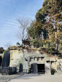 【宮城県】伊達家の菩薩寺　瑞巌寺