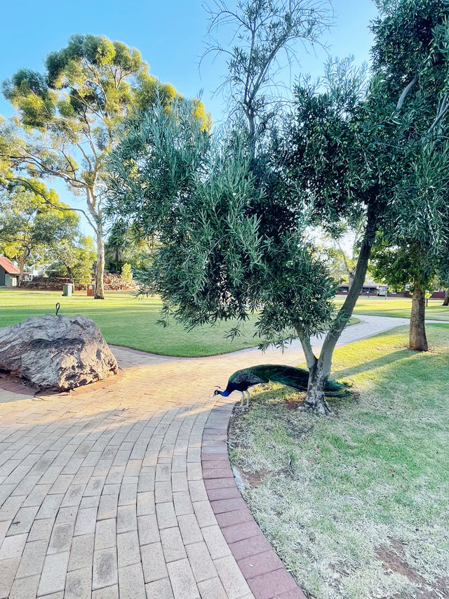 Hammond Haven – A peaceful and inviting space.