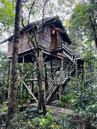 Rainforest Retreat like no other 