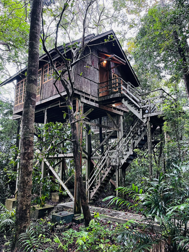 Rainforest Retreat like no other 