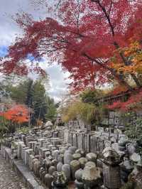 A Symphony of Colors —  The Nison-in Temple of Arashiyama