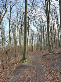 유럽여행 하이킹하기에 좋은 비엔나 Ottakringer Wald