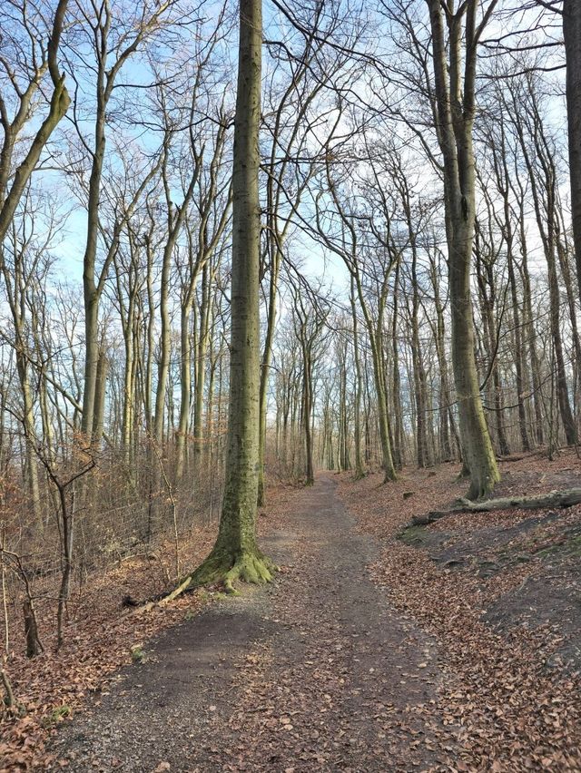 유럽여행 하이킹하기에 좋은 비엔나 Ottakringer Wald