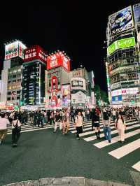 Shinjuku Nights: Neon Lights & Hidden Delights