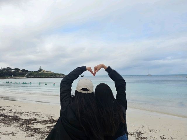 Amazing beaches and cute quokkas!!!