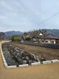 부자기운 제대로 서린 진주 승산마을🧡