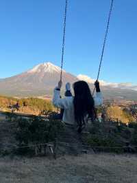 후지산 포토스팟, 죽음의숲 등 리뷰 🗻