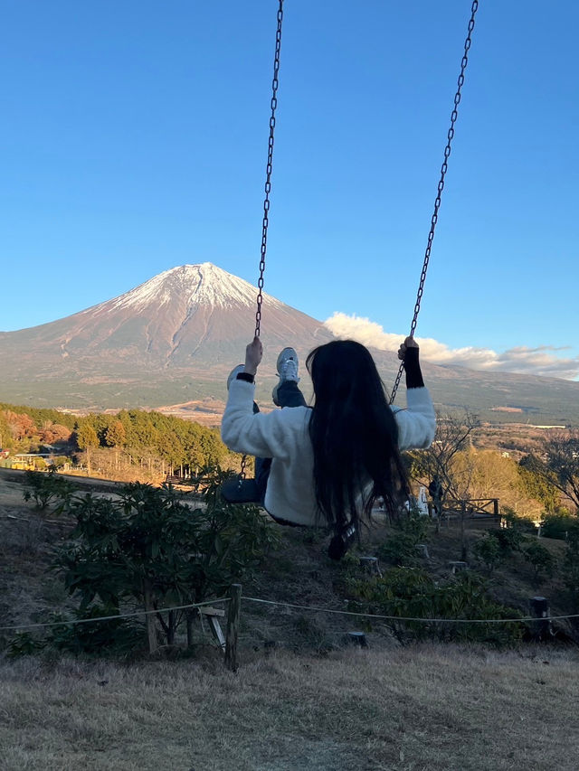 후지산 포토스팟, 죽음의숲 등 리뷰 🗻