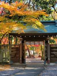 紅葉が美しいおすすめスポット