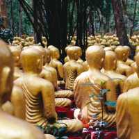 วัดโกรกแก้ววงพระจันทร์