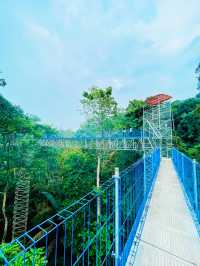 “Forest Skywalk Kepong: Walk Among the Treetops with Breathtaking Views”