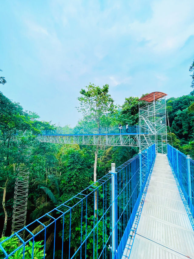 “Forest Skywalk Kepong: Walk Among the Treetops with Breathtaking Views”