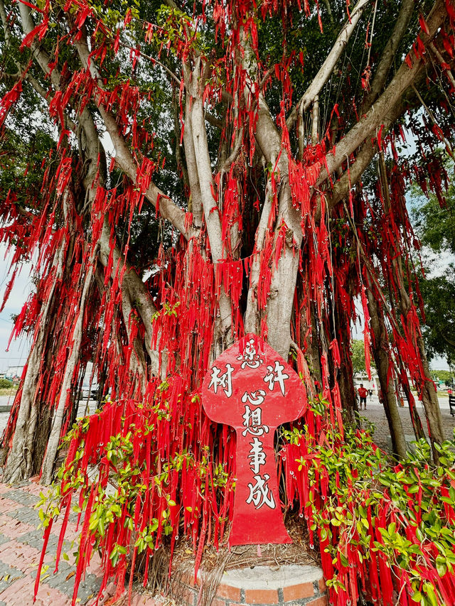 Make a Wish at Sekinchan’s Iconic Wishing Tree!