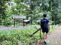 “Niah Cave: The Majestic Gateway to Prehistoric Wonders”