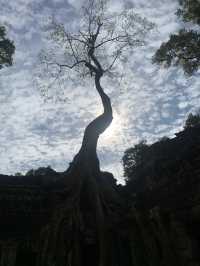 Angkor Wat